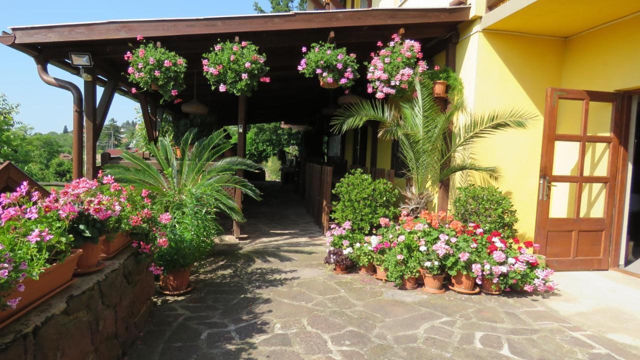 Hotel Prima Porta Vendeghaz à Balatonalmádi Extérieur photo